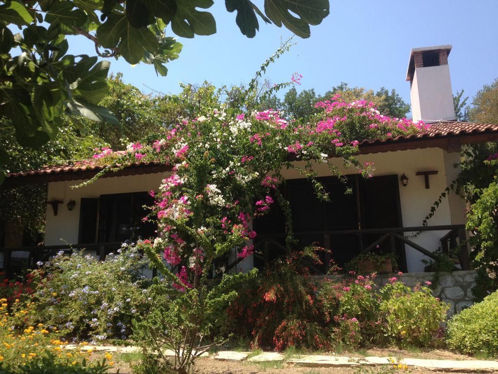 Selimiye Houses Exterior photo