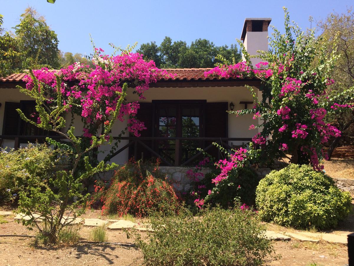 Selimiye Houses Exterior photo